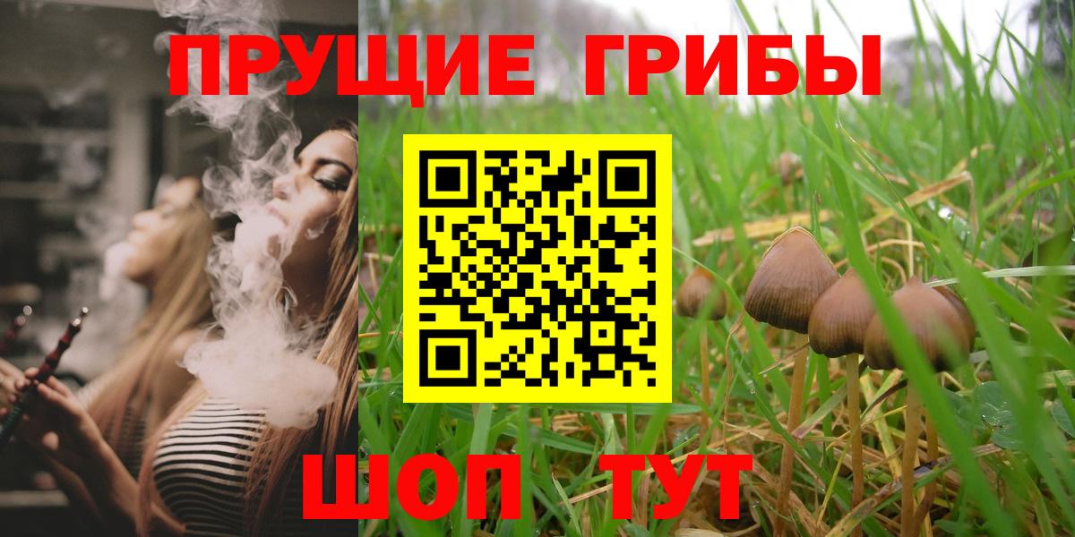 Ишим  Псилоцибиновые грибы GOLDEN TEACHER  Галлюциногенные грибы мицелий  Вход с VPN 